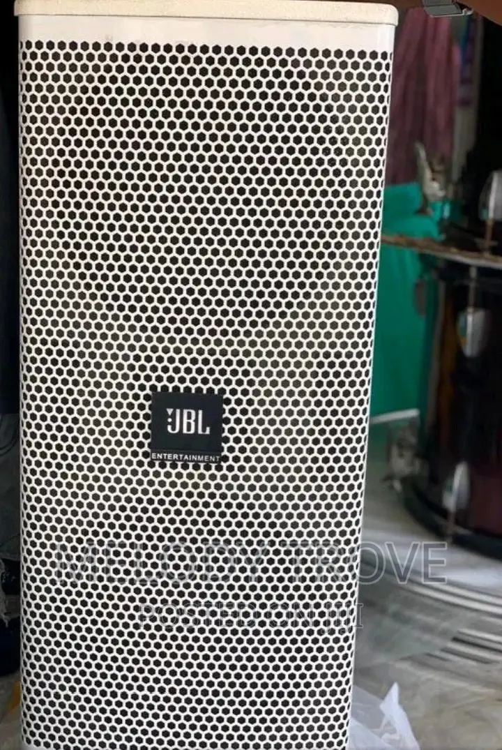 12 Inches Passive Speakers