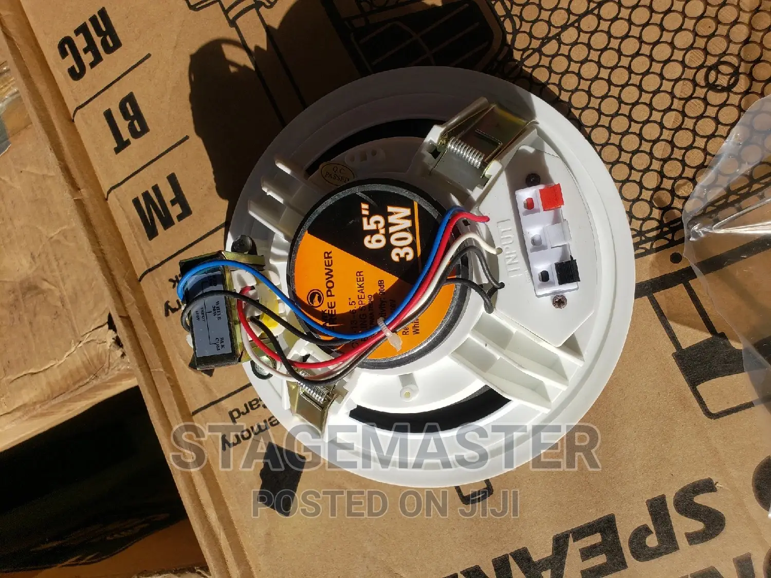 HAWK Ceiling Speakers (30W)
