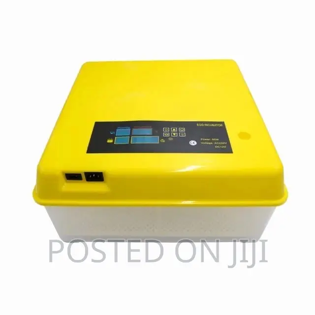 Automatic Incubator ,Car Battery Electricity, Generator