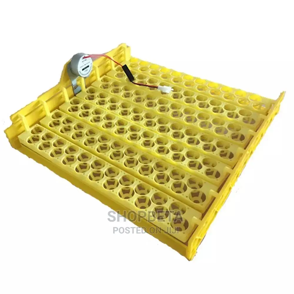 Best Egg Incubator