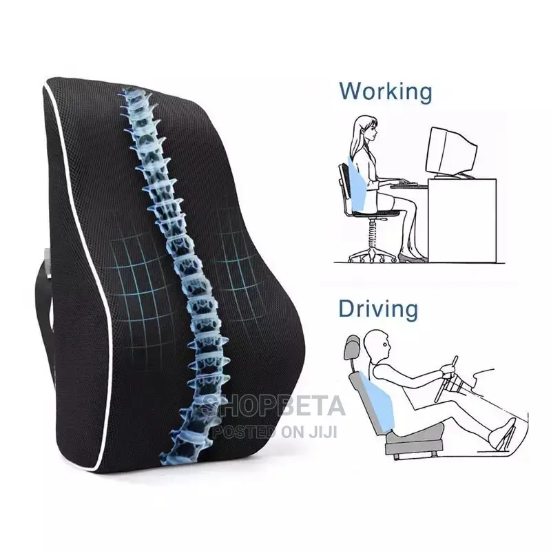 Chiropractico Back Support