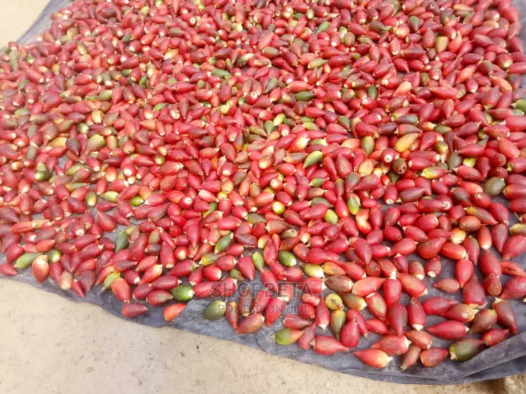 Fresh And Dry Alligator Pepper