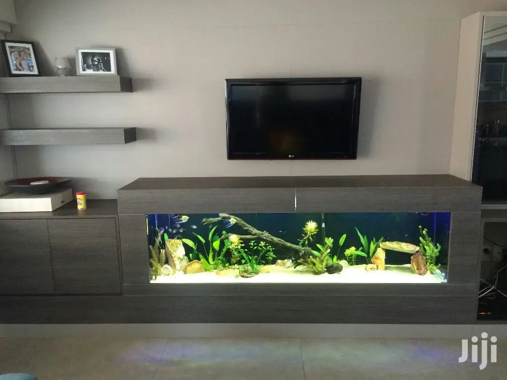 Tv Stand Aquarium