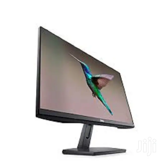Dell 24 Monitor
